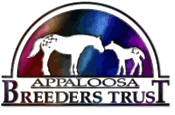 Breeders Trust of the ApHC - member